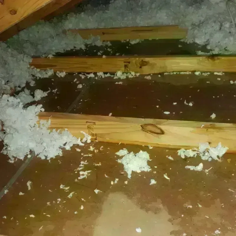 Attic Water Damage in Pierce County, WA