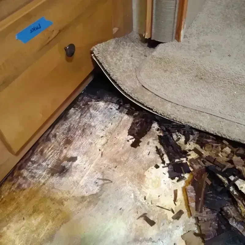 Wood Floor Water Damage in Pierce County, WA